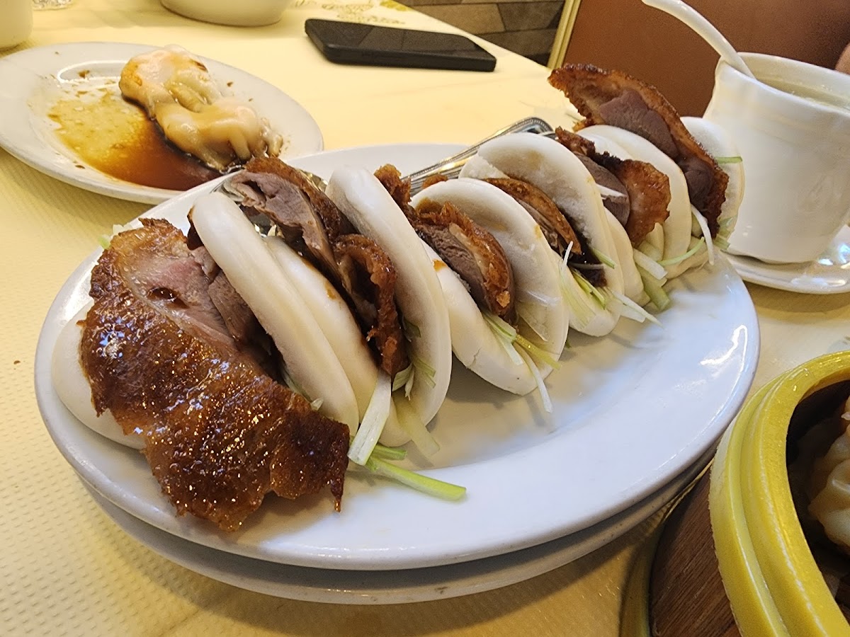 新東湖 Canton Manor-3