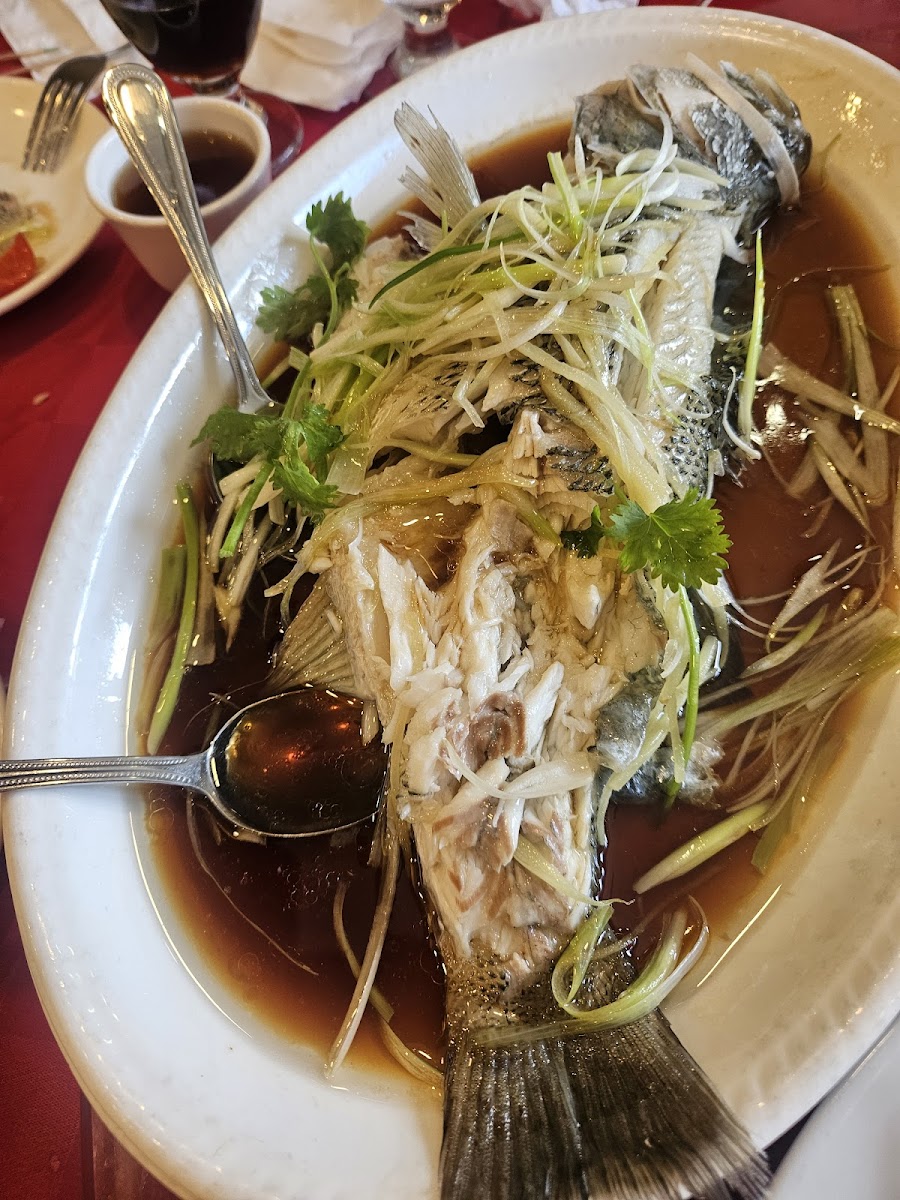 新東湖 Canton Manor-7